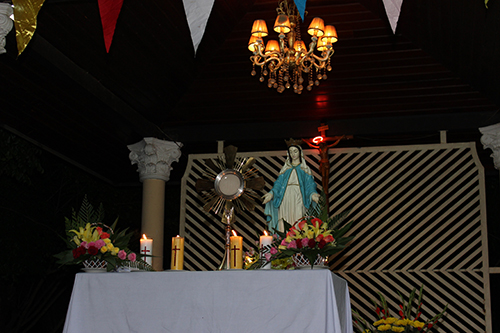 IMG_5556.JPG - 180.52 kb