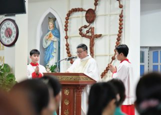 bon mang gioi hien mau 2026 (12)