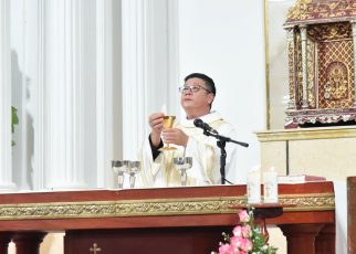 bon mang gioi hien mau 2026 (15)